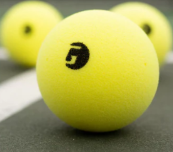 Gamma Librarian Foam Pickleball.